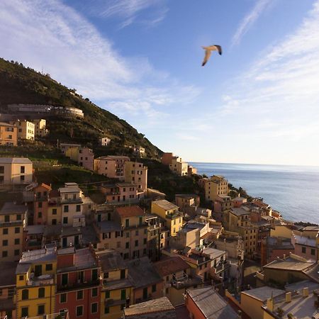 Casato Bapo' Camera Panoramica Eufrasia 里奥马哲雷 外观 照片